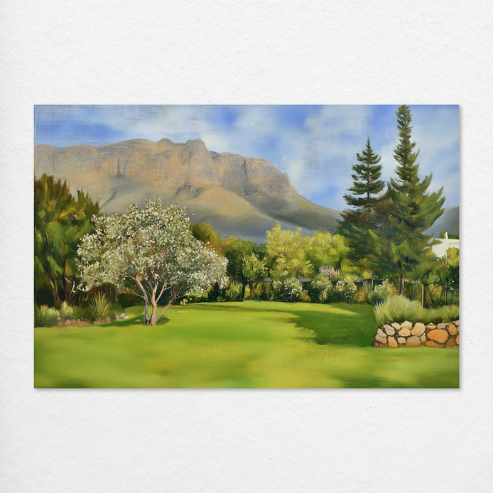 Campsite Dreams