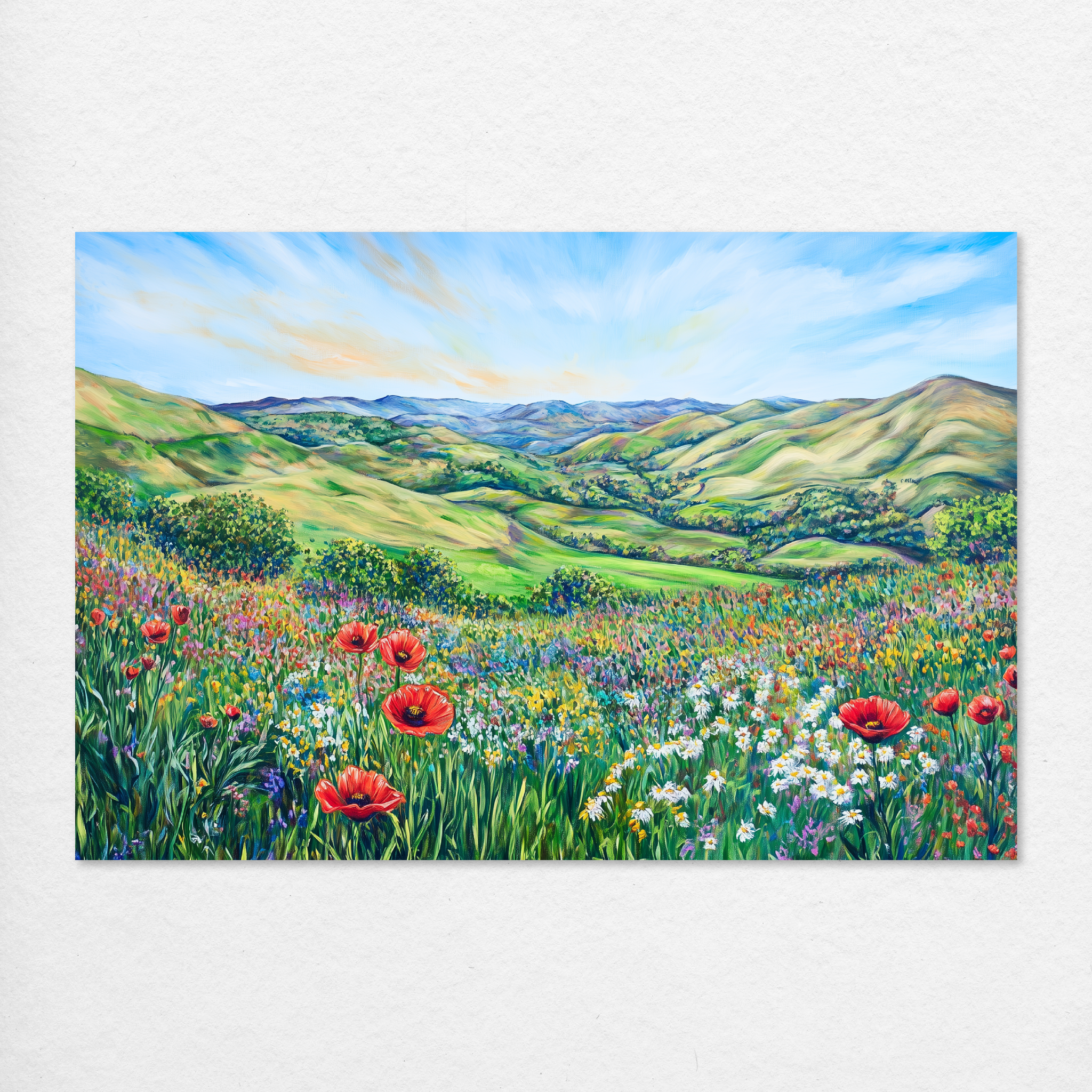 Valley of Wildflowers