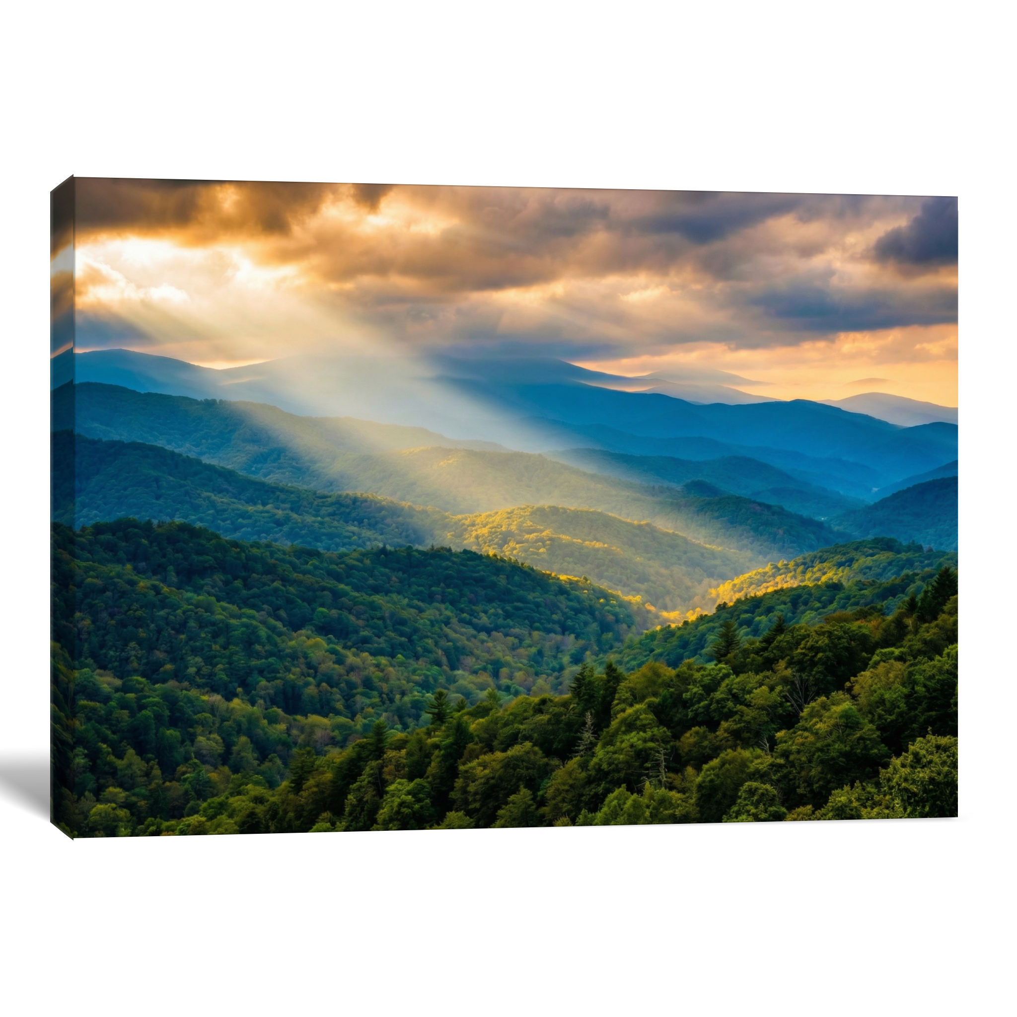 D1417-hand-painted-wall-art_2_4x3-horizontal-main-image.psd_5