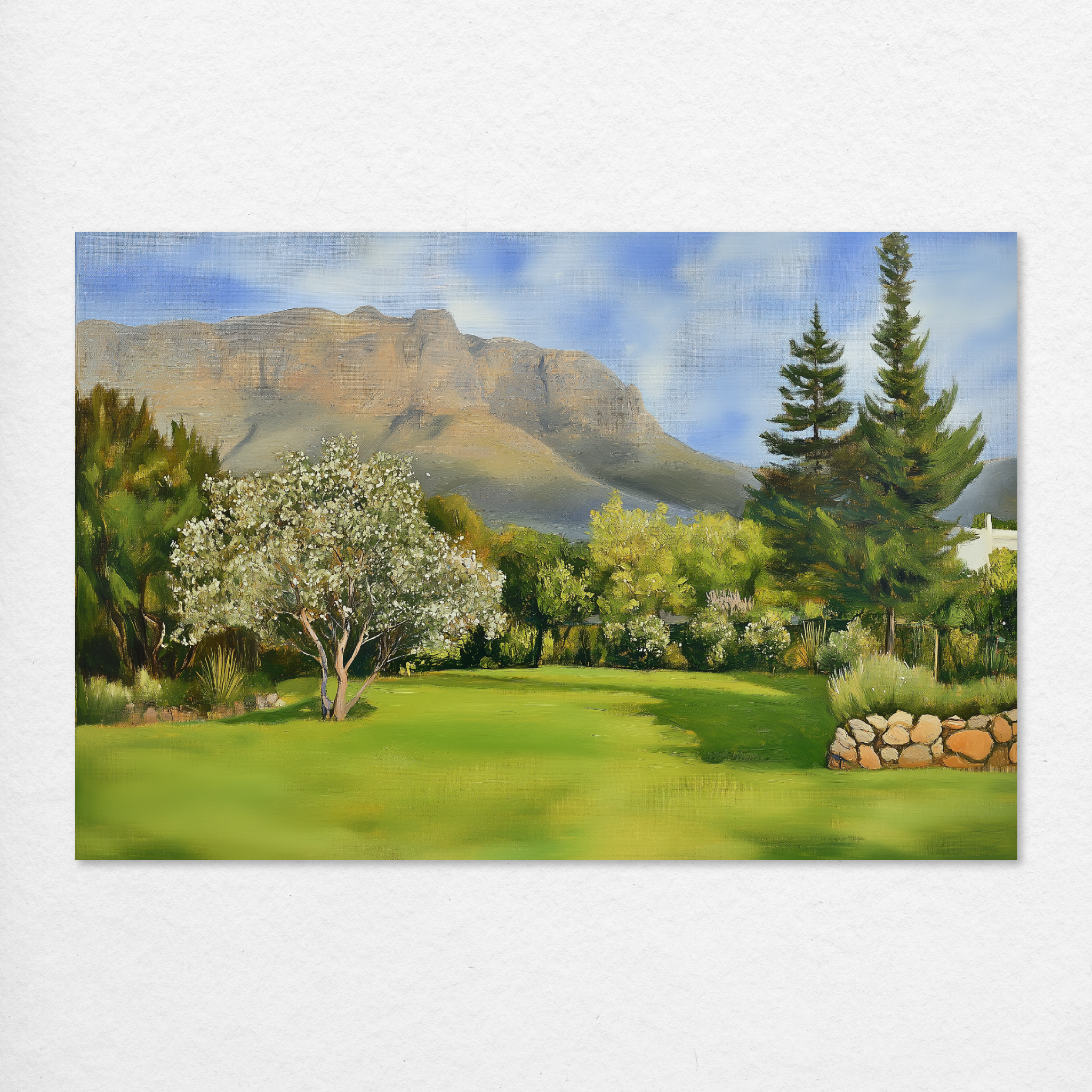 Campsite Dreams