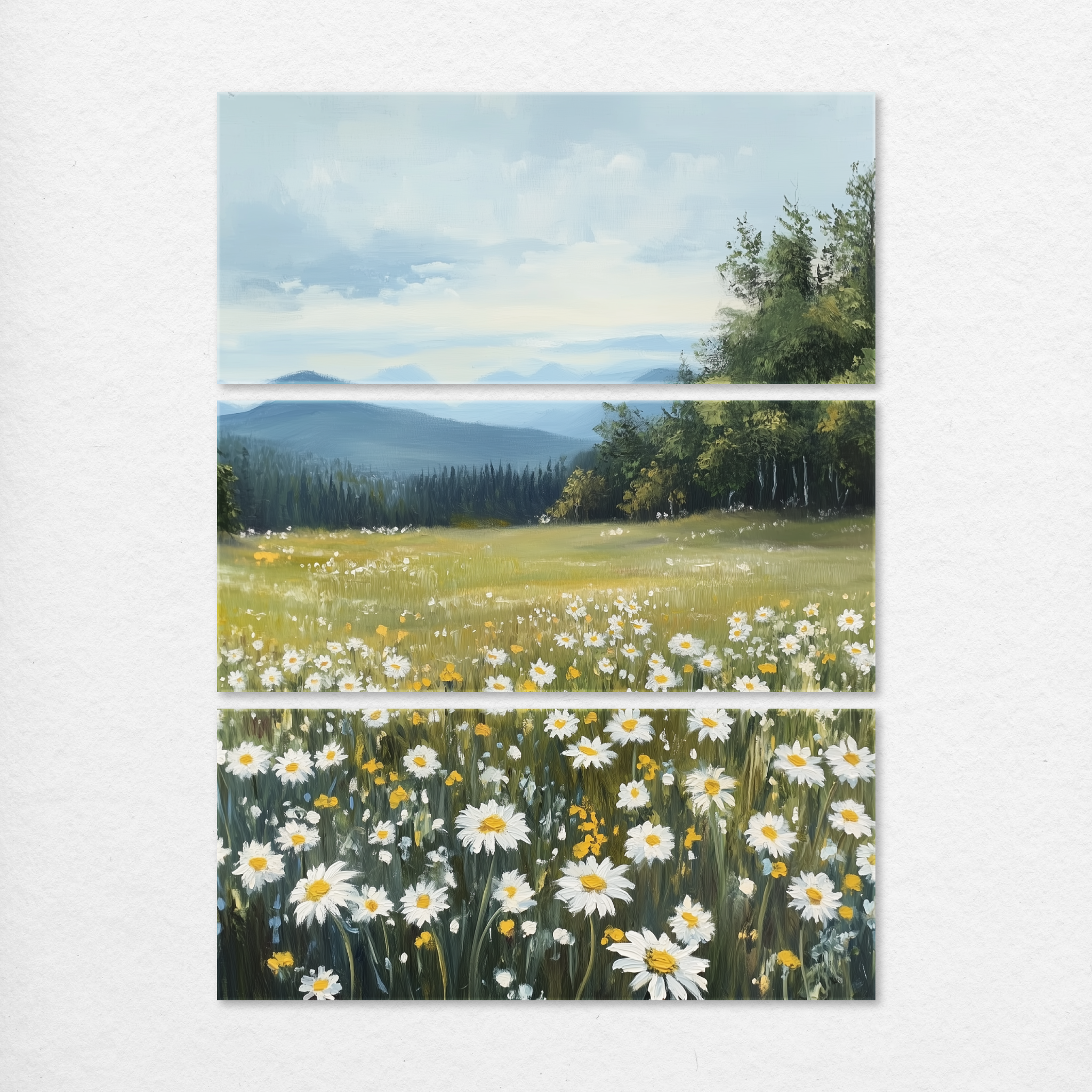 Daisy Meadow