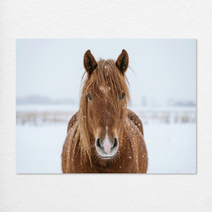 D1415-hand-painted-wall-art_0_4x3-horizontal-RC.psd_3