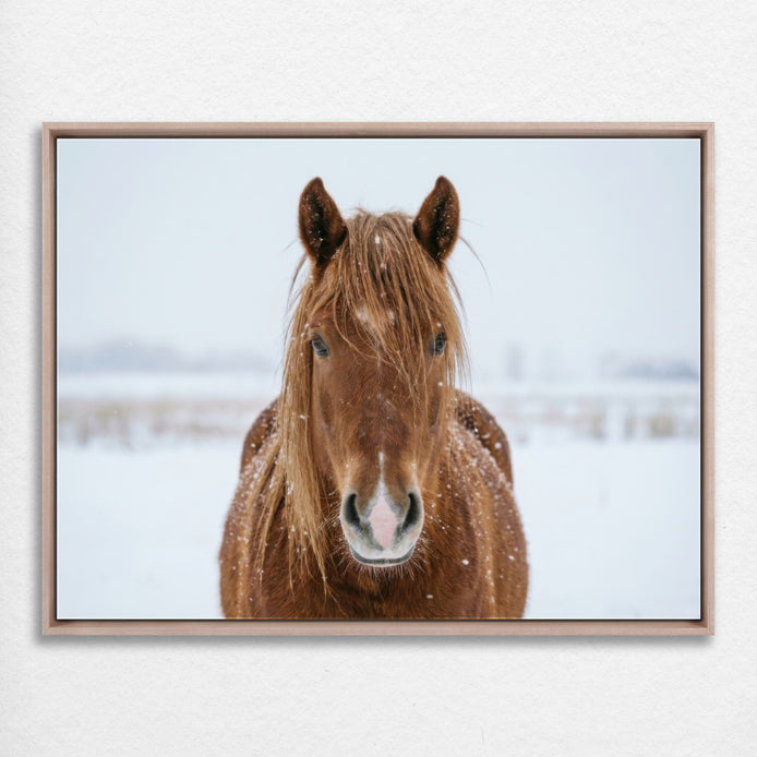 D1415-hand-painted-wall-art_0_4x3-horizontal-frame-natural.psd_1