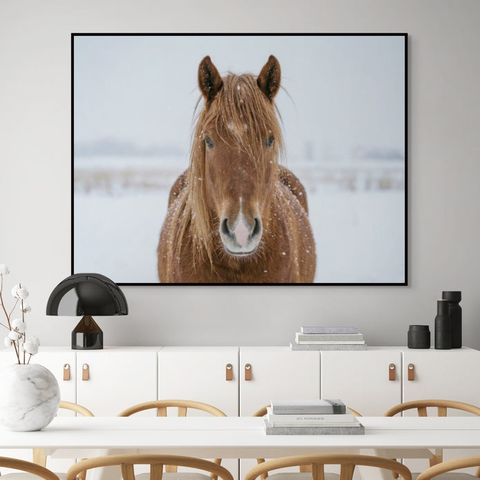 D1415-room-f-black-dining-room-image