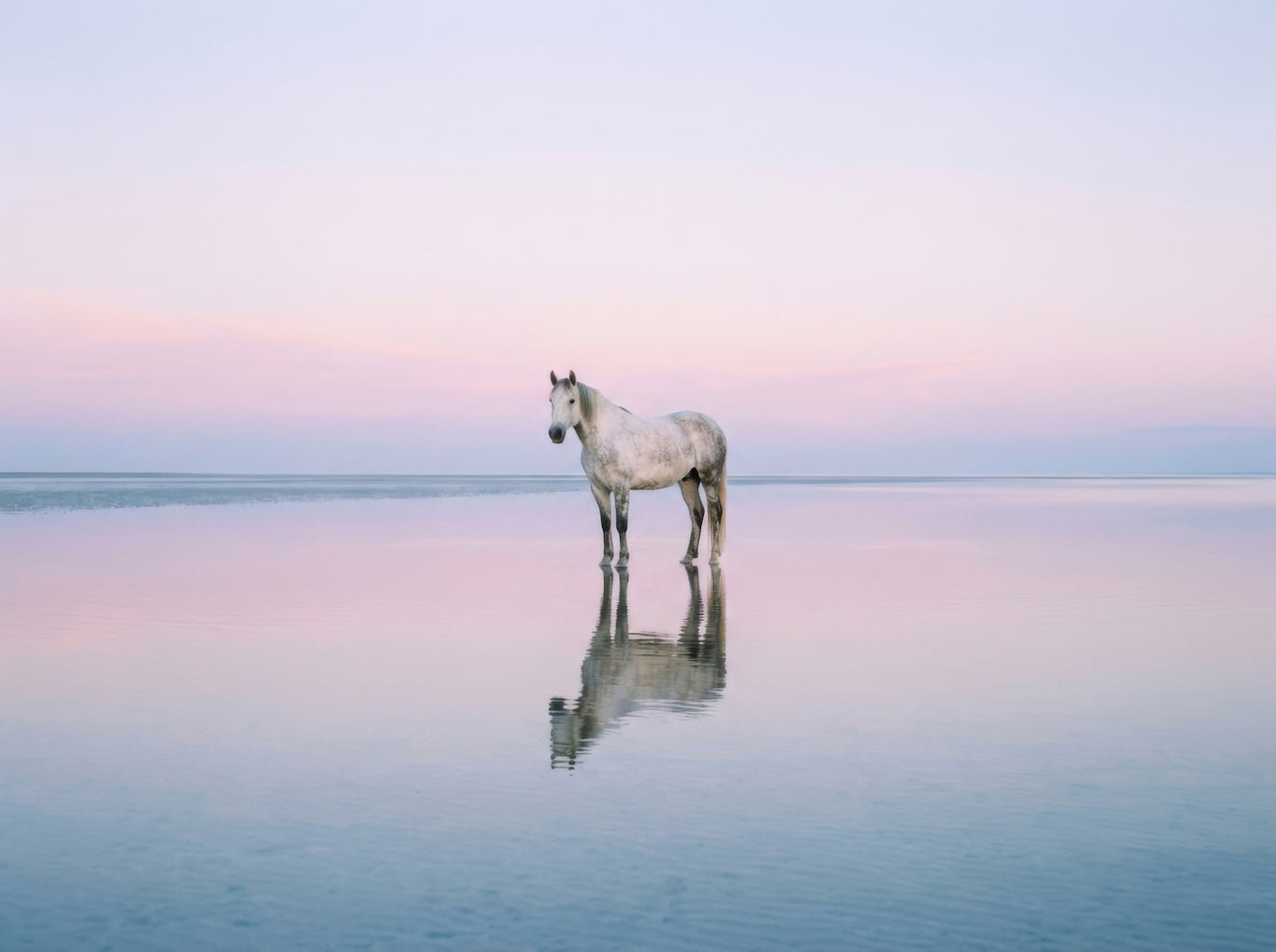 art-image css-video