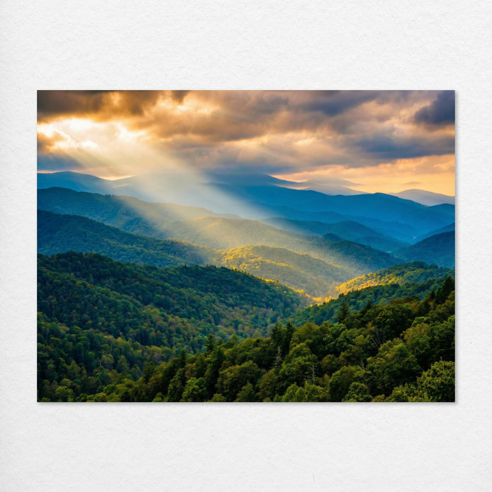 D1417-hand-painted-wall-art_2_4x3-horizontal-RC.psd_3