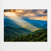 D1417-hand-painted-wall-art_2_4x3-horizontal-RC.psd_3