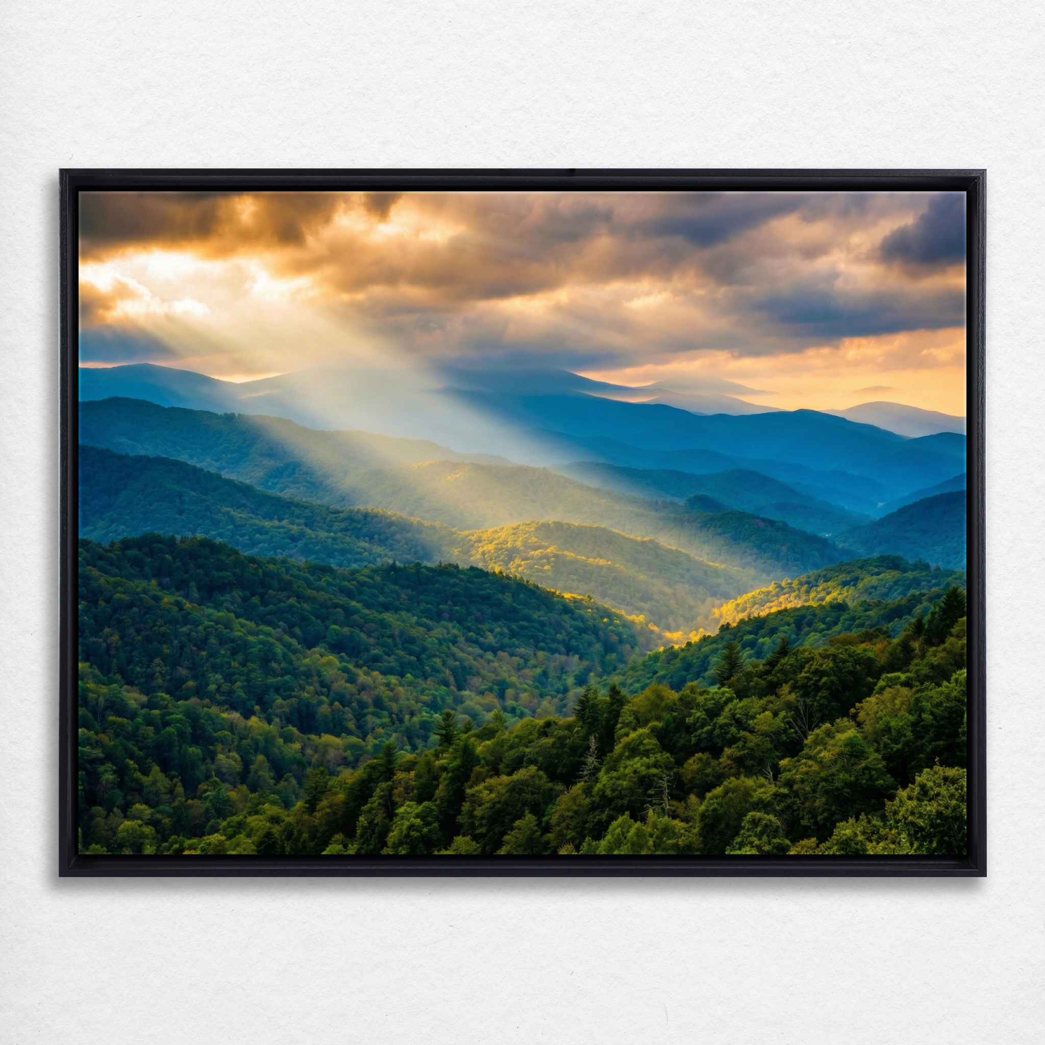 D1417-hand-painted-wall-art_2_4x3-horizontal-frame-black.psd_2