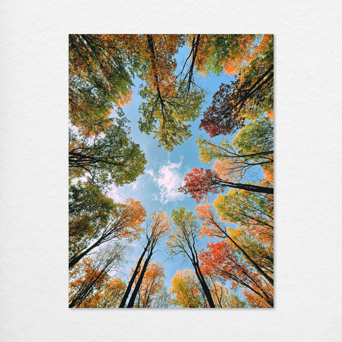 D1494-hand-painted-wall-art_1_3x4-vertical-RC.psd_3