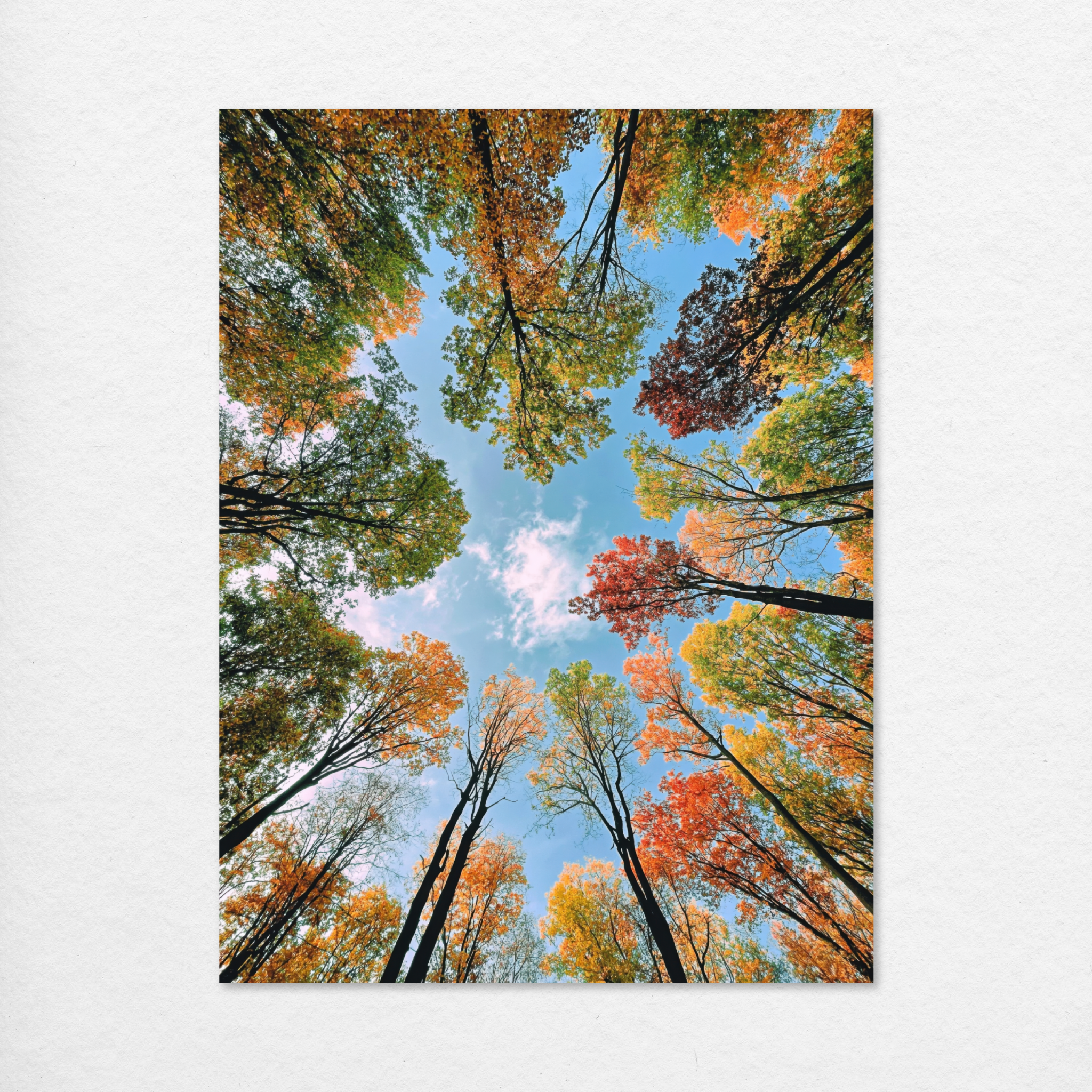 D1494-hand-painted-wall-art_1_3x4-vertical-RC.psd_3