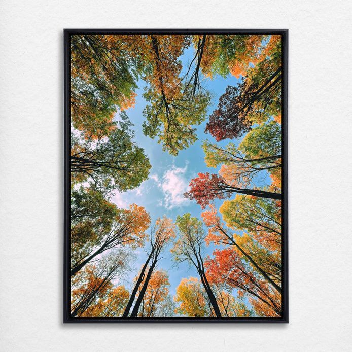 D1494-hand-painted-wall-art_1_3x4-vertical-frame-black.psd_1