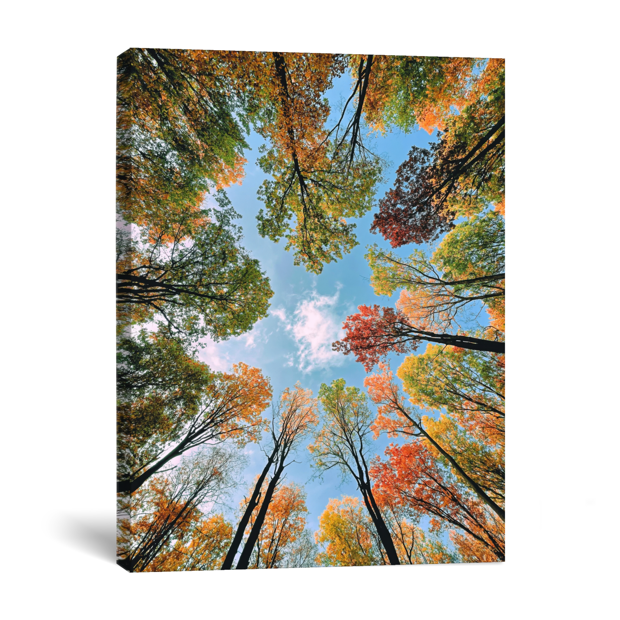 D1494-hand-painted-wall-art_1_3x4-vertical-main-image.psd_4