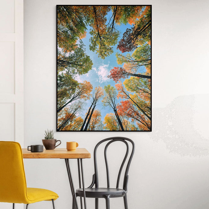 D1494-room-f-black-dining-room-image