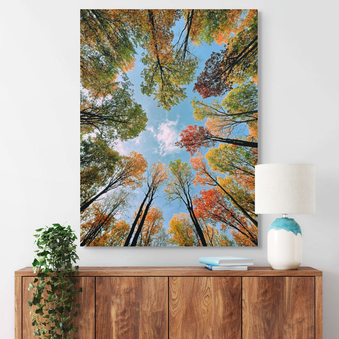 D1494-room-f-wrapped-hallway-room-image