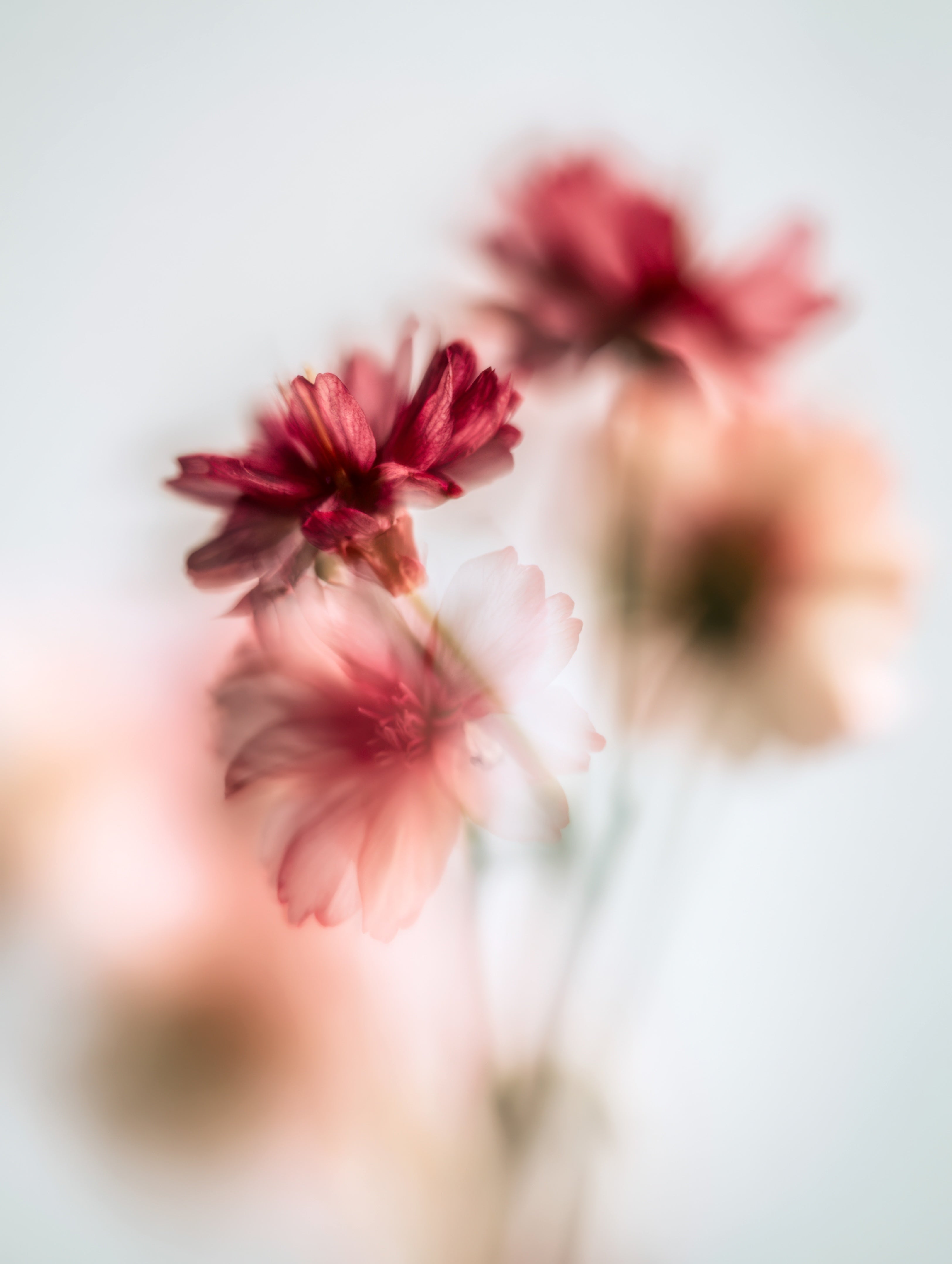 art-image css-video