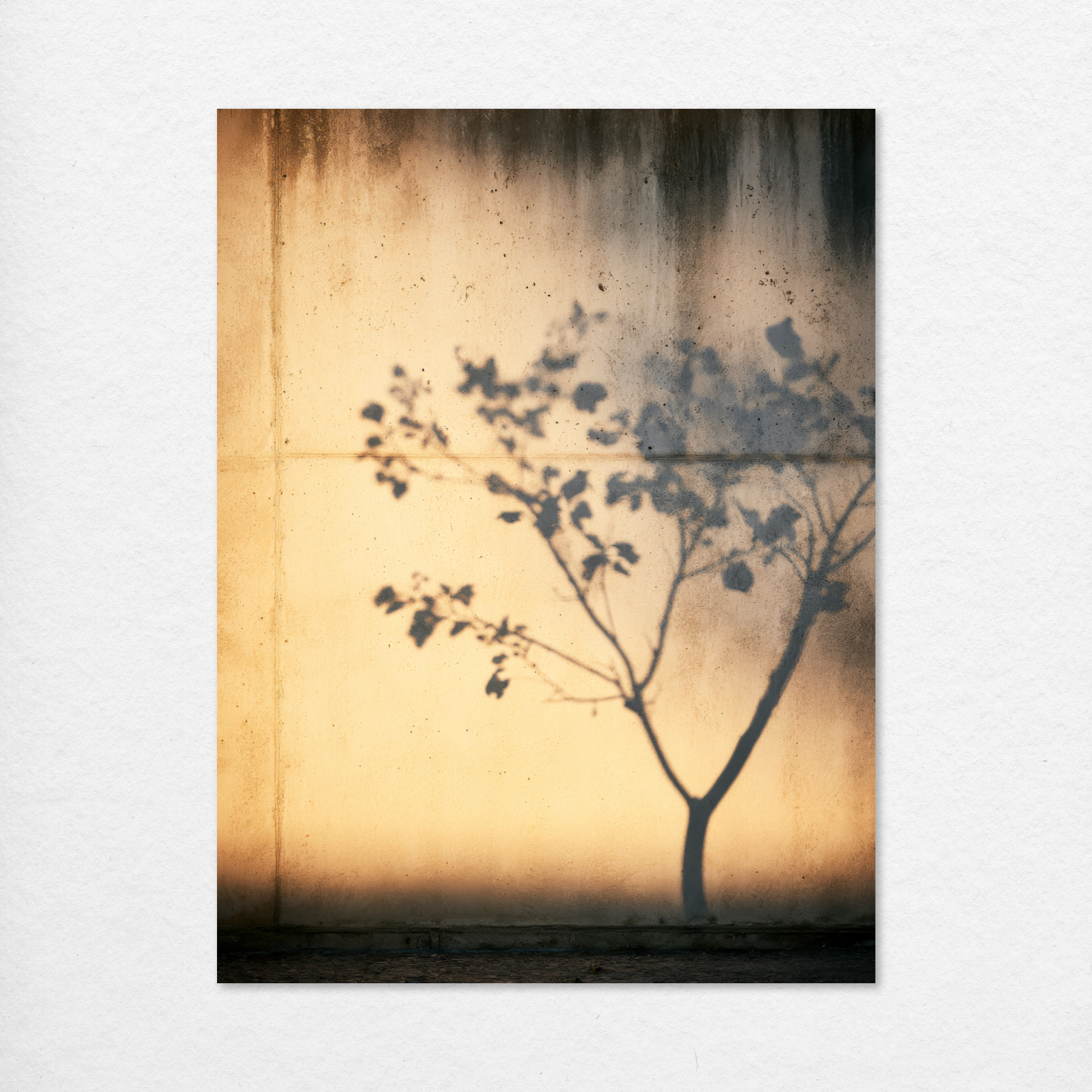 D1625-hand-painted-wall-art_2_3x4-vertical-RC.psd_1
