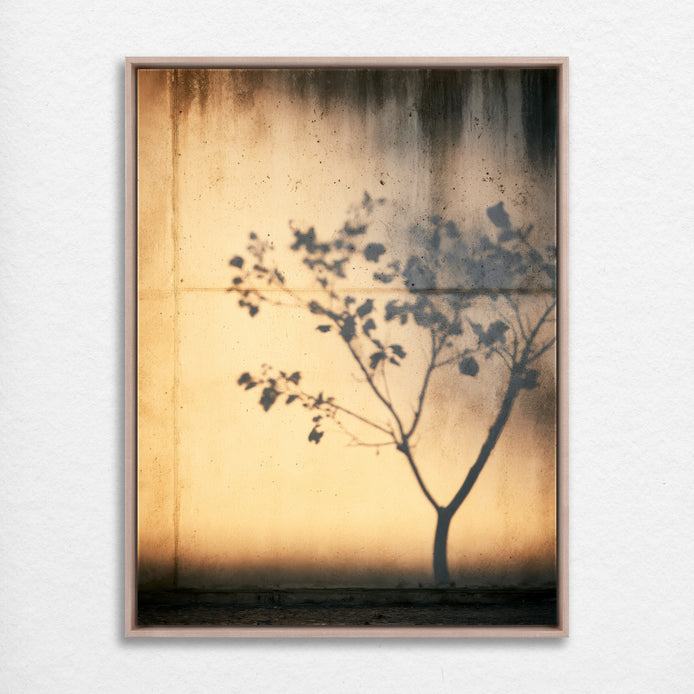 D1625-hand-painted-wall-art_2_3x4-vertical-frame-natural.psd_3