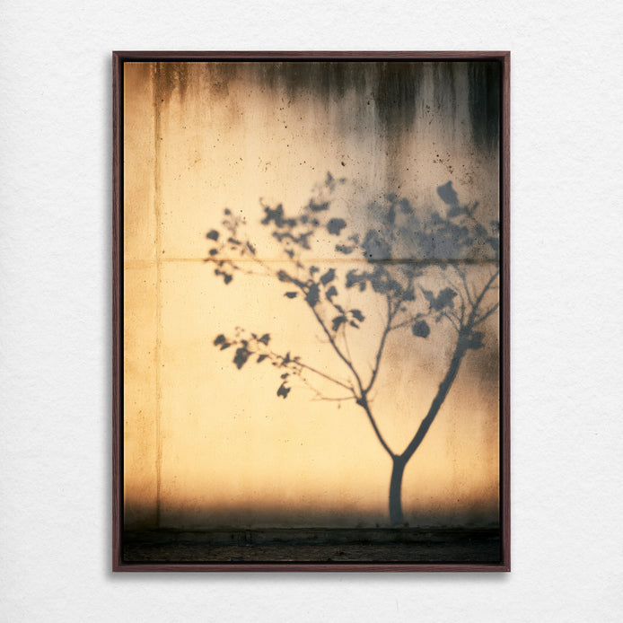 D1625-hand-painted-wall-art_2_3x4-vertical-frame-walnut.psd_0