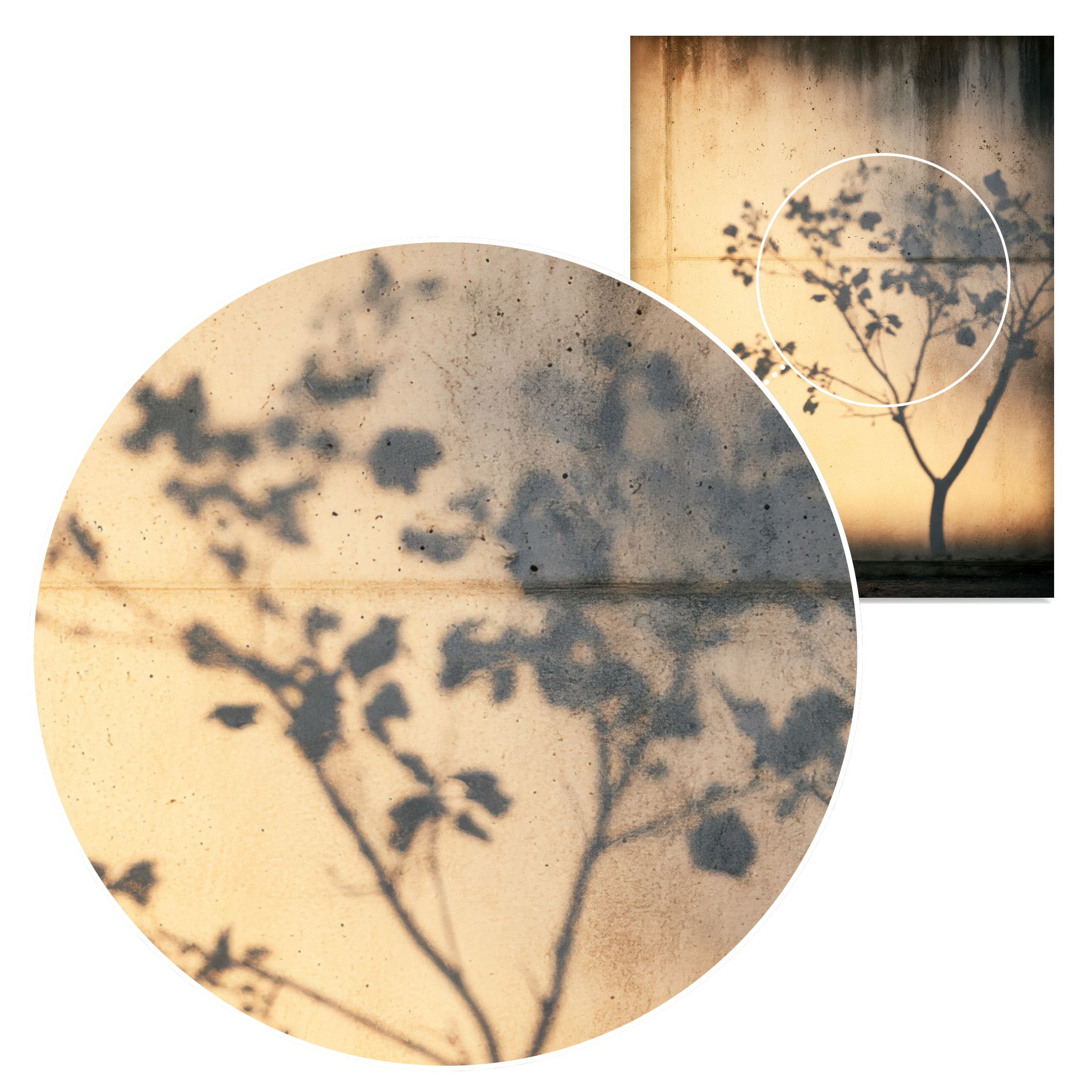 D1625-hand-painted-wall-art_2_3x4-vertical-zoom-image.psd_4