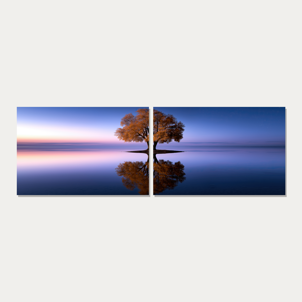 D2045-high-quality-print-on-canvas-3x1-panoramic-2panels