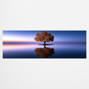 D2045-high-quality-print-on-canvas-3x1-panoramic-RC