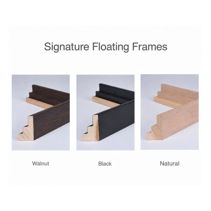 frame-preview